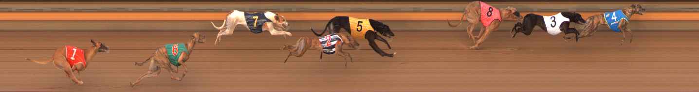 Race result finish photo